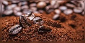 Café natural para o tratamento de fungos